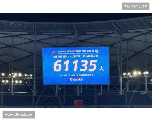 大连英博面对上海申花挑战：困境中的坚持与未来的潜力